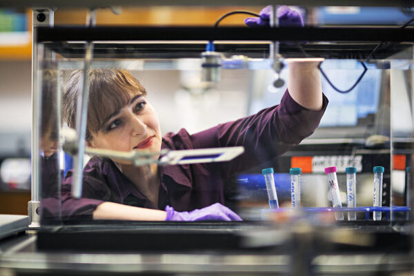 Brain Research Foundation Dr Chertok 1
