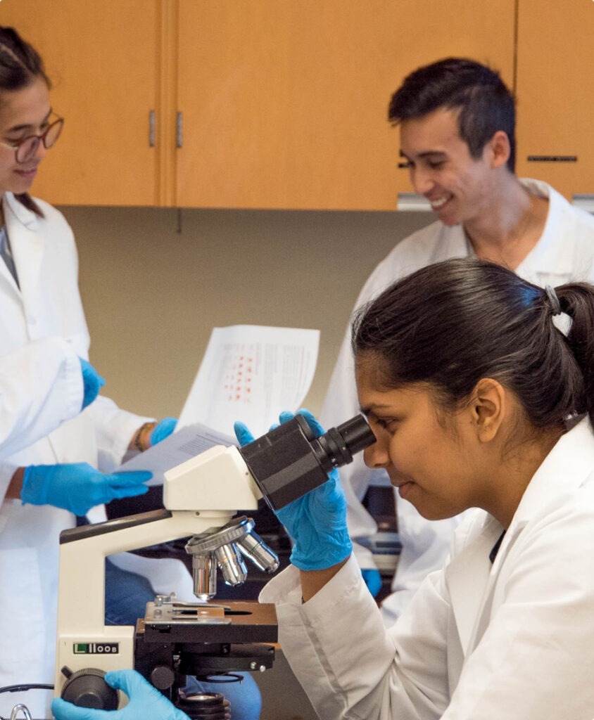 Brain Research Foundation Scientists